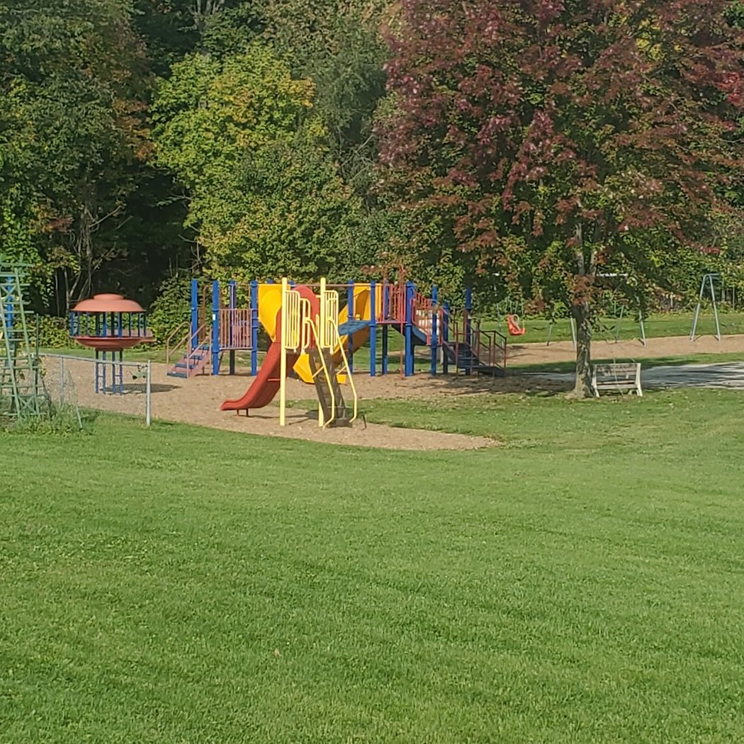 Kindergarten and Young Fives Roundup 3