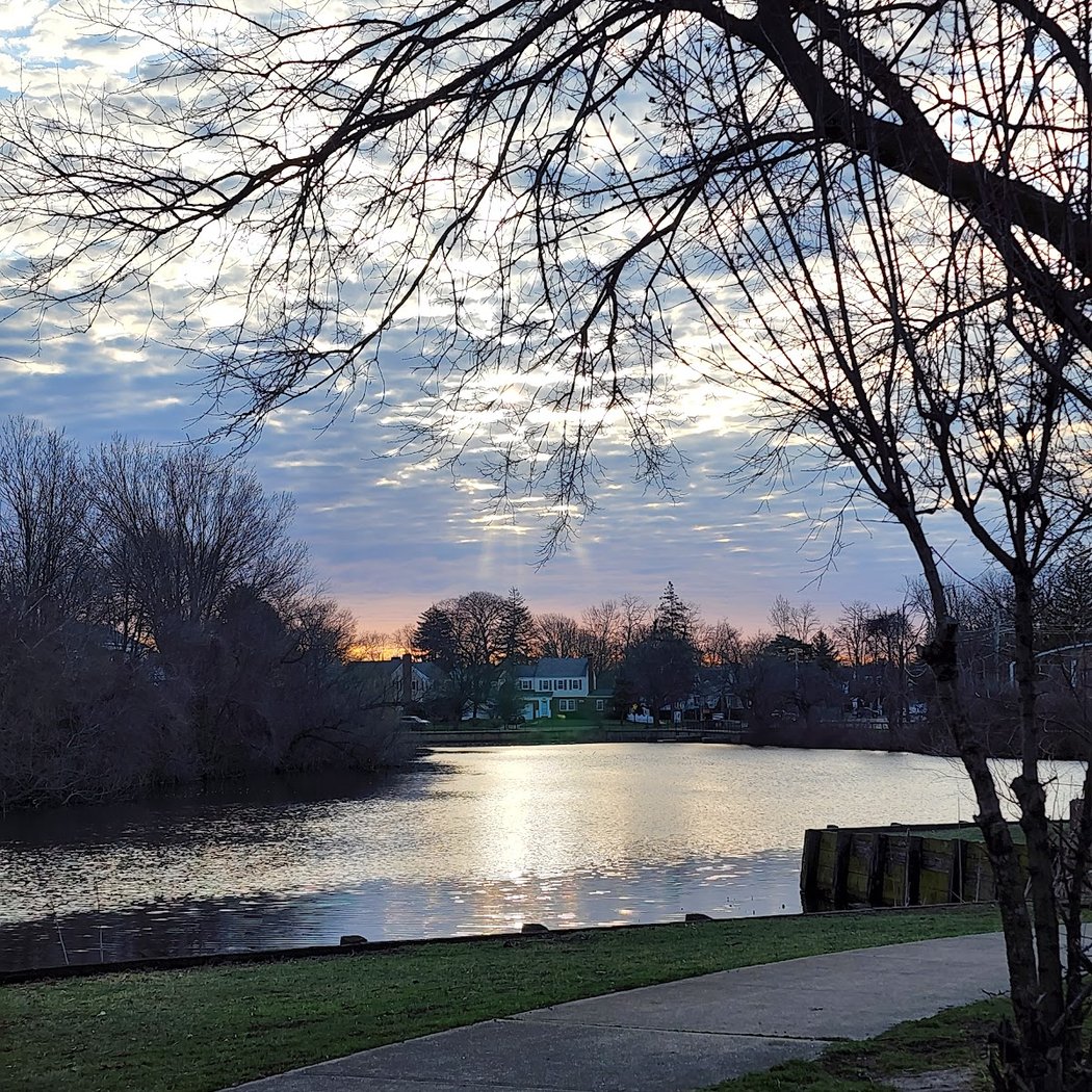 Lofts Pond Park 3