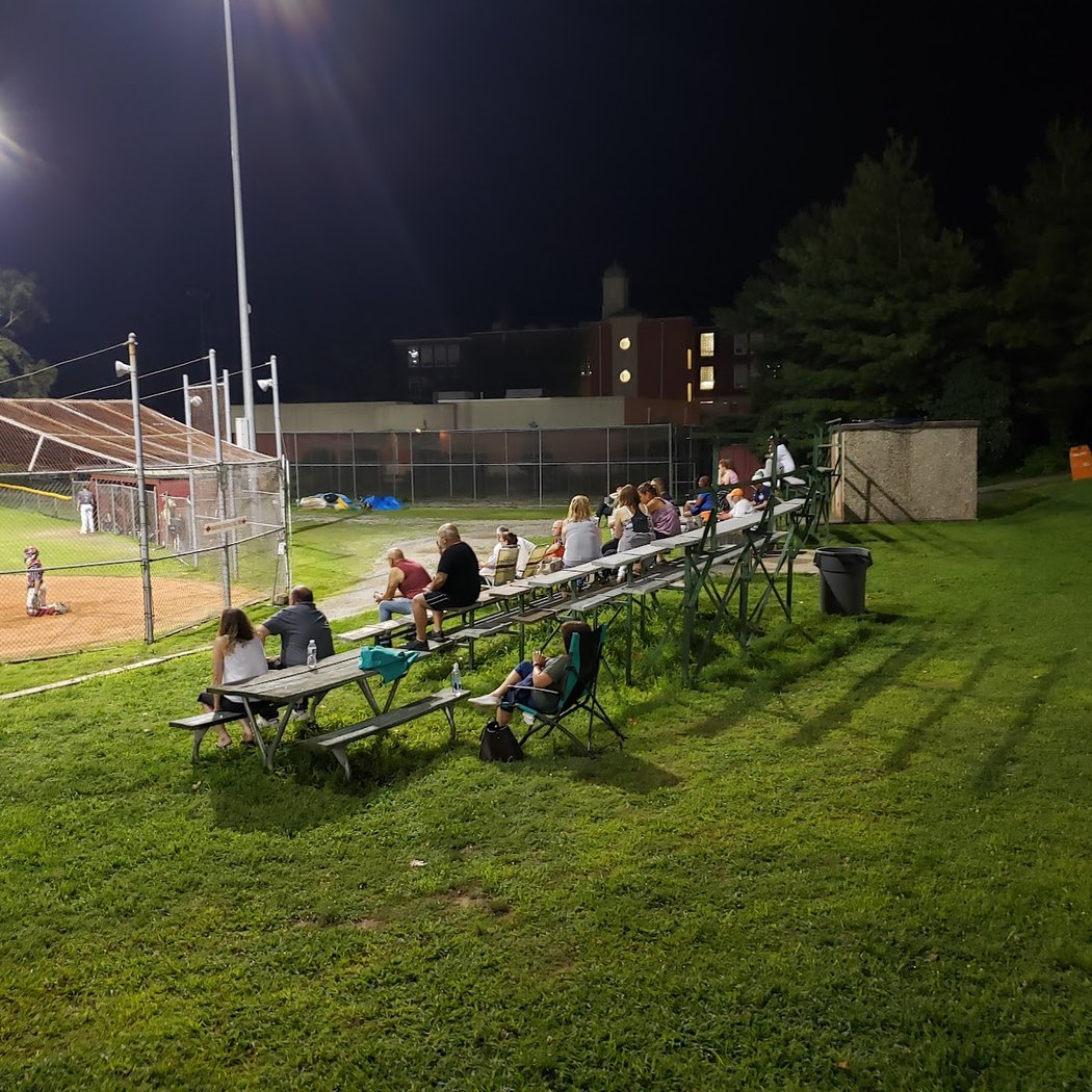 Vintage Baseball game 2