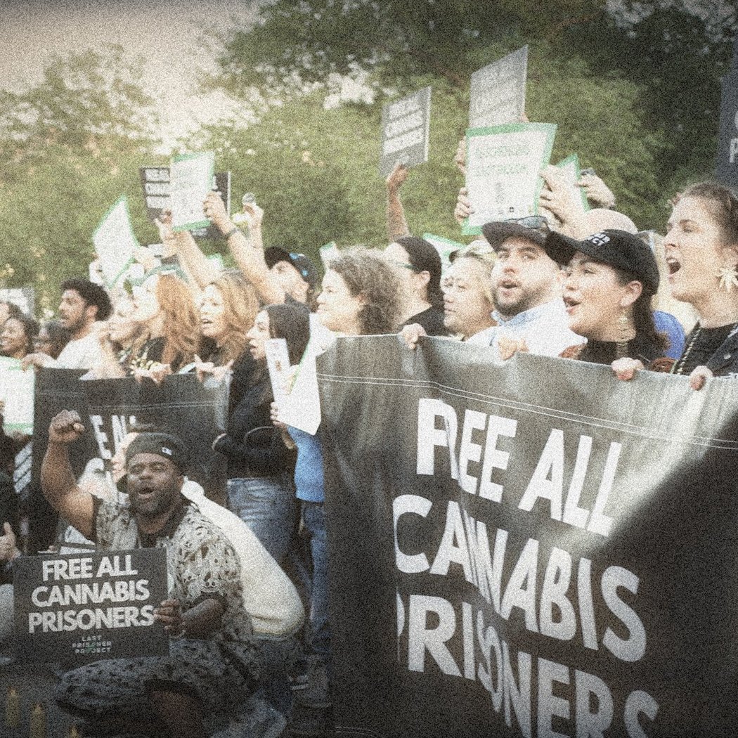 Bar None: Cannabis Redemption 1