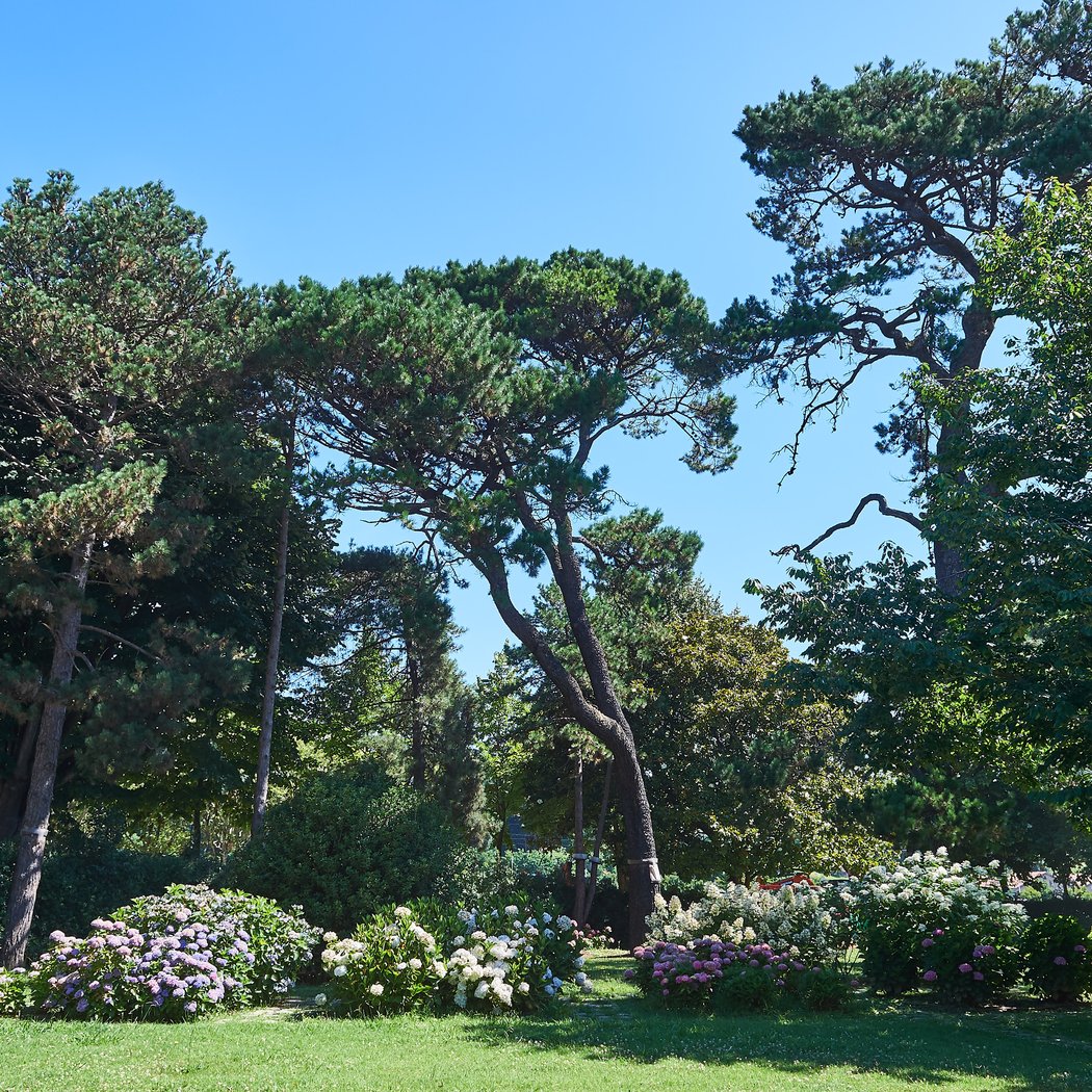 René Cassin Garden 2