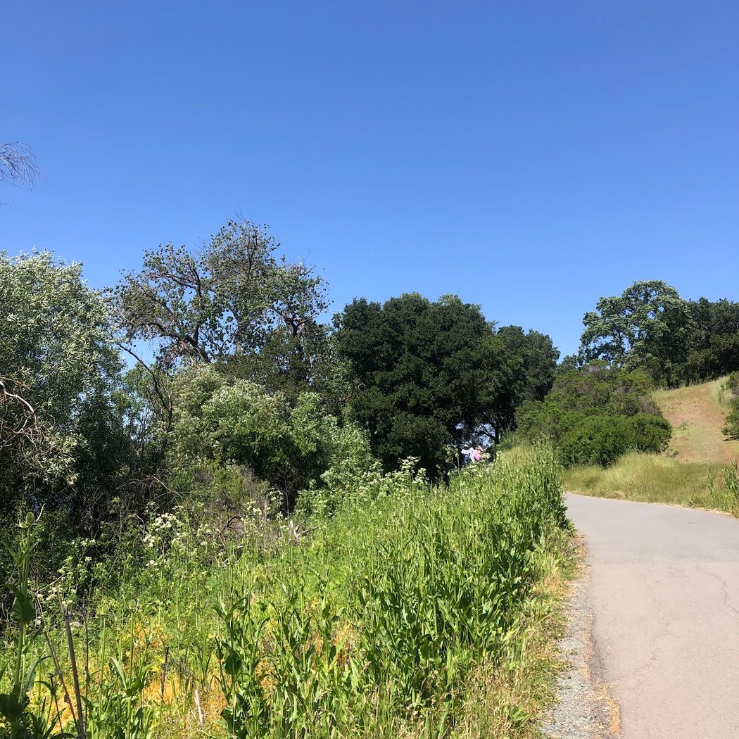 Lafayette reservoir 2