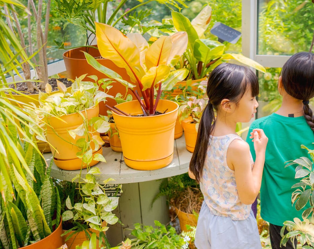 Earth to Plants 1