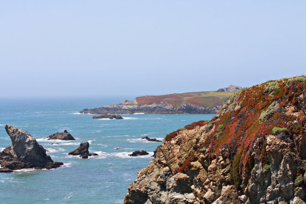 Bodega Bay 3