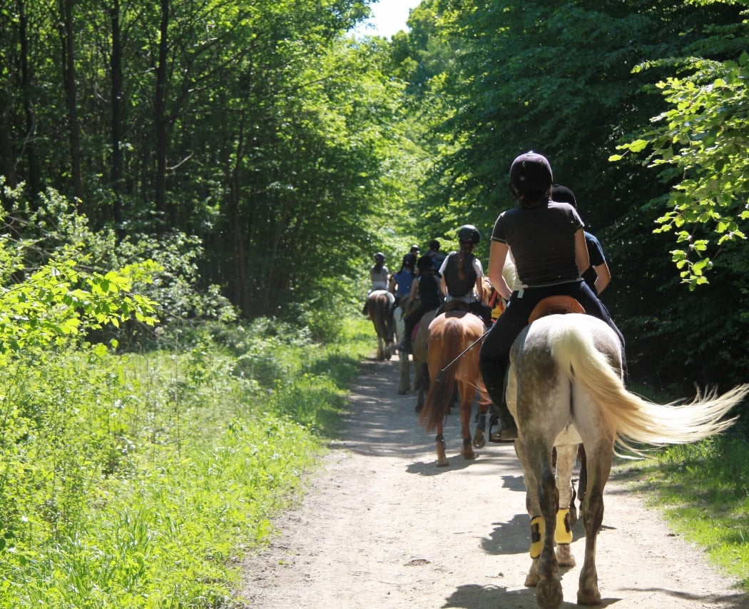 Pony Club Equestrian Center Rambouillet 3