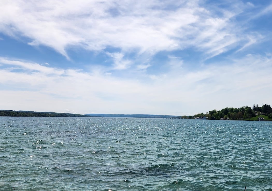 Skaneateles Marina 2