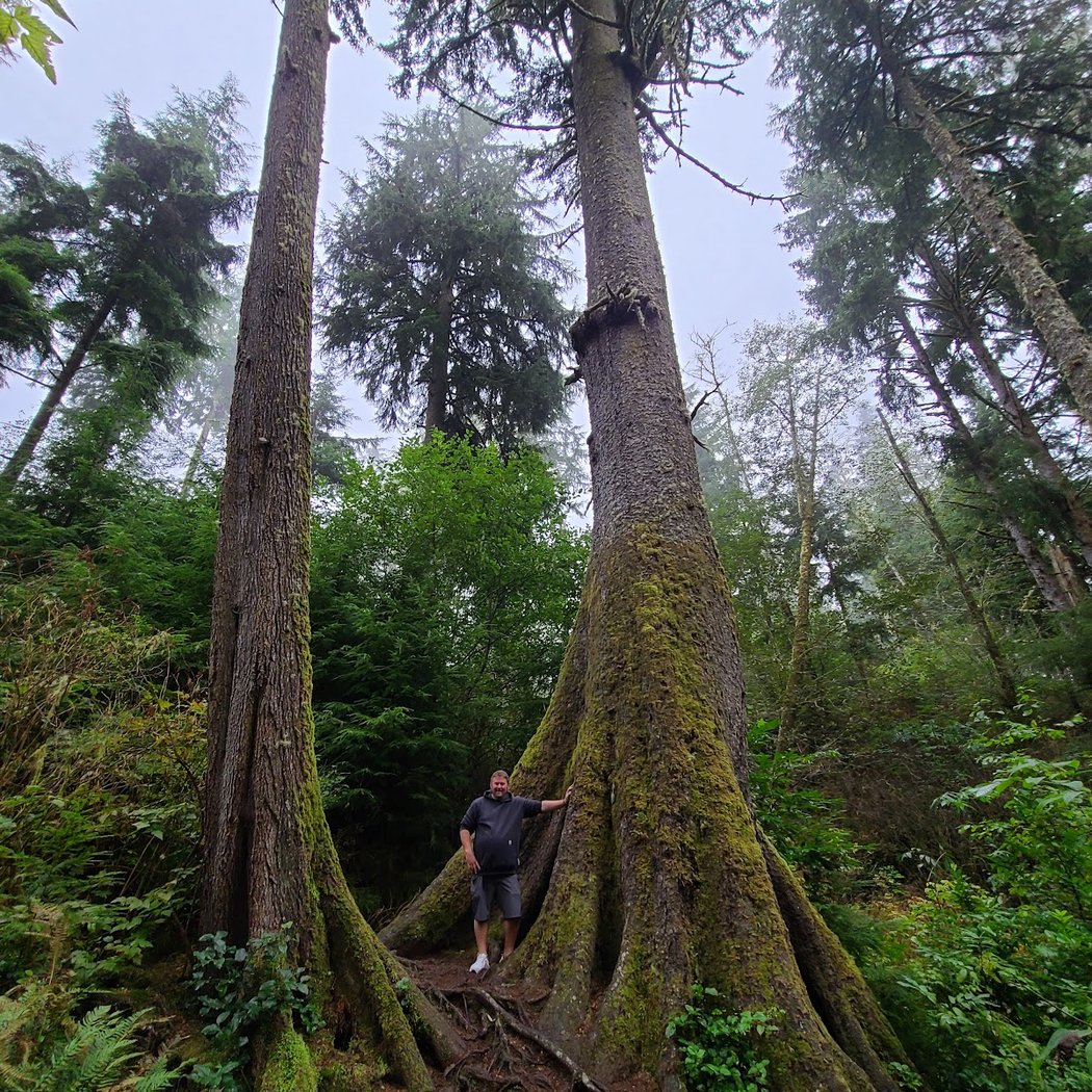 Richard Fenscak Cathedral Tree Trail Trailhead 1