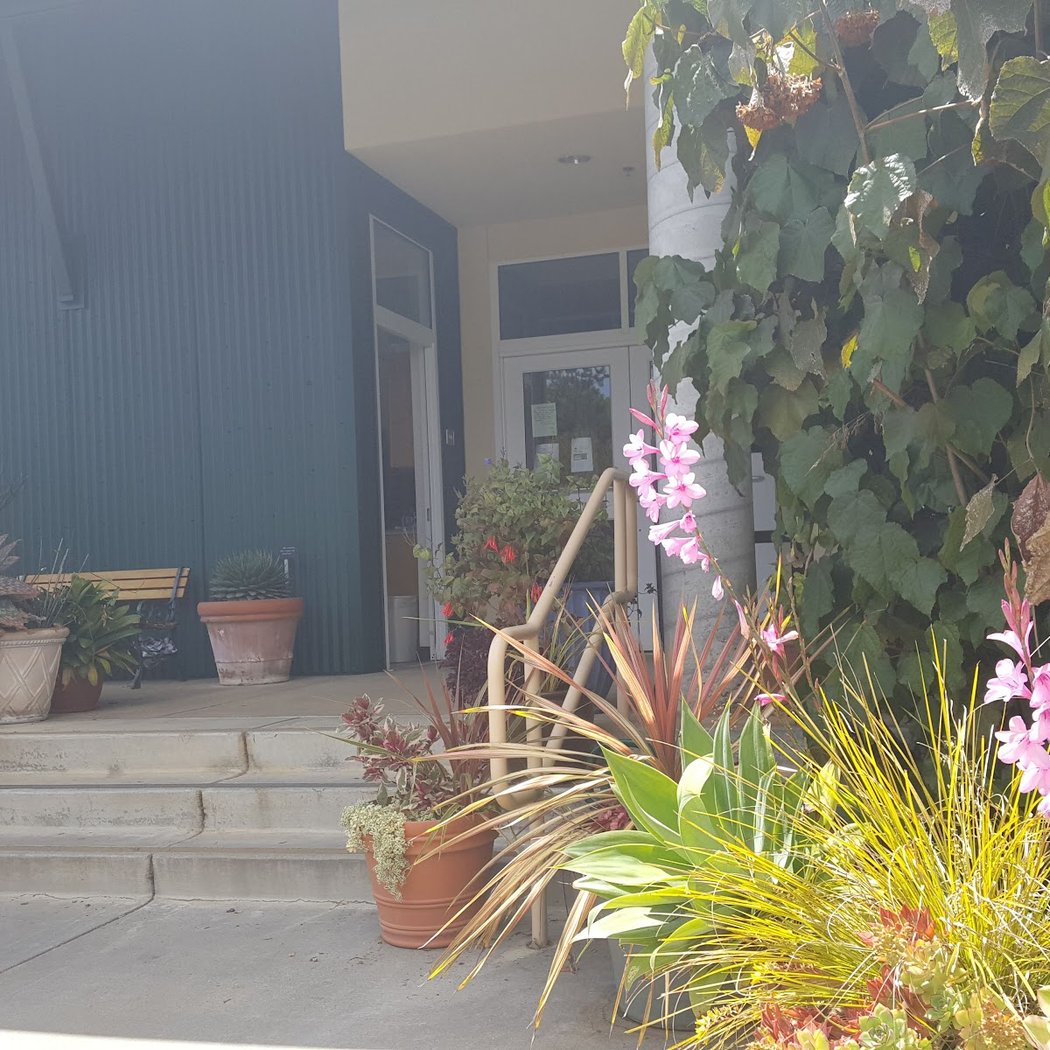 Cabrillo College Horticulture Spring Plant Sale 1