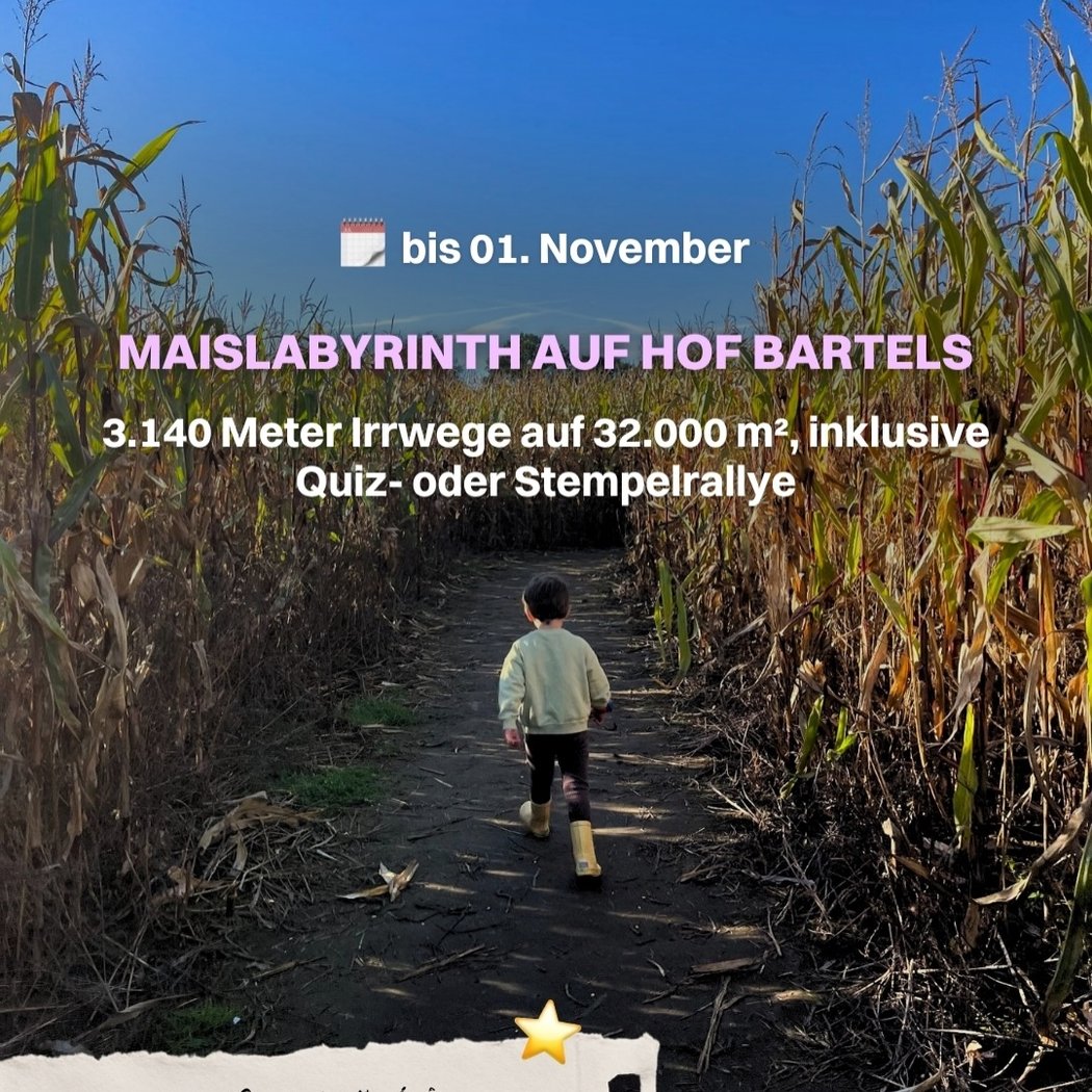 Maislabyrinth 1