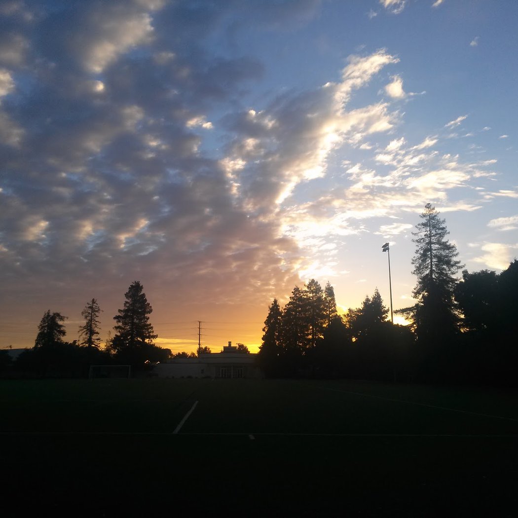 Kelly Park 2