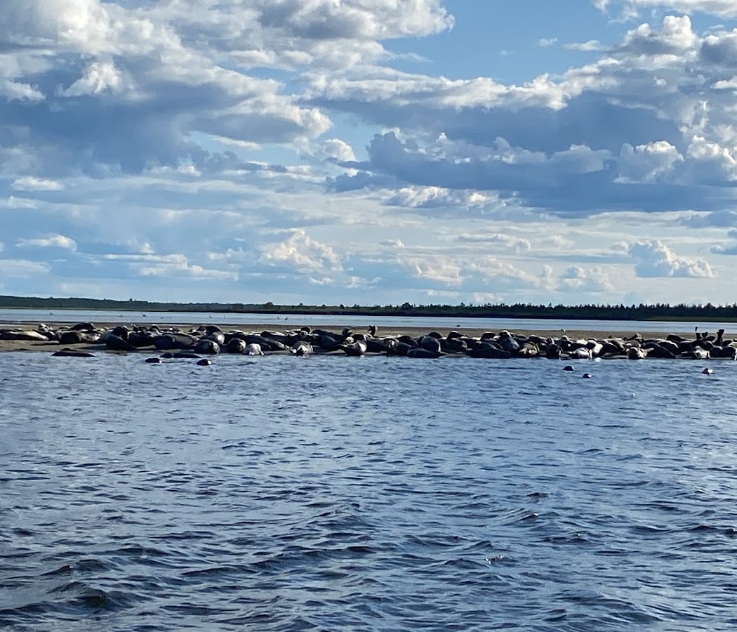 Phoca Tours 2