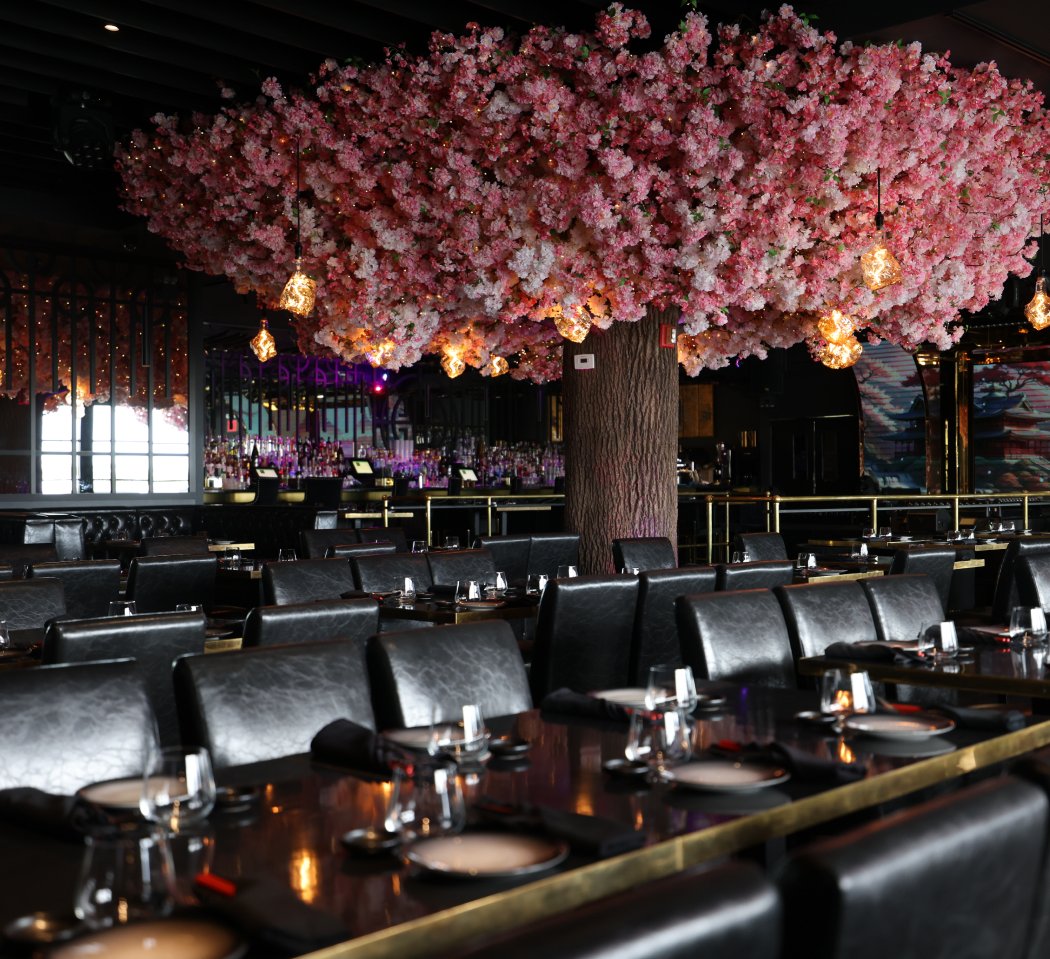 Sky Wise Lounge 2