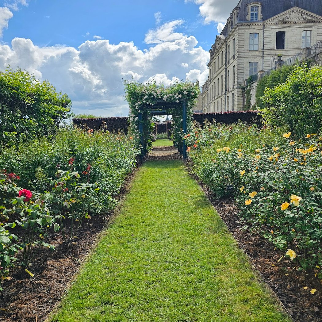 Bishopric Rose Garden 2