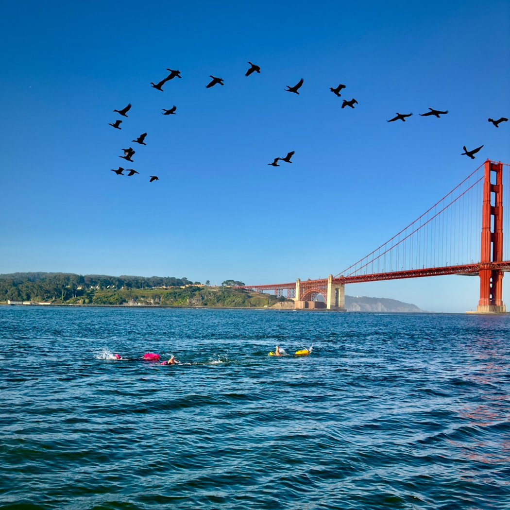 Pacific Open Water Swim Co. 3