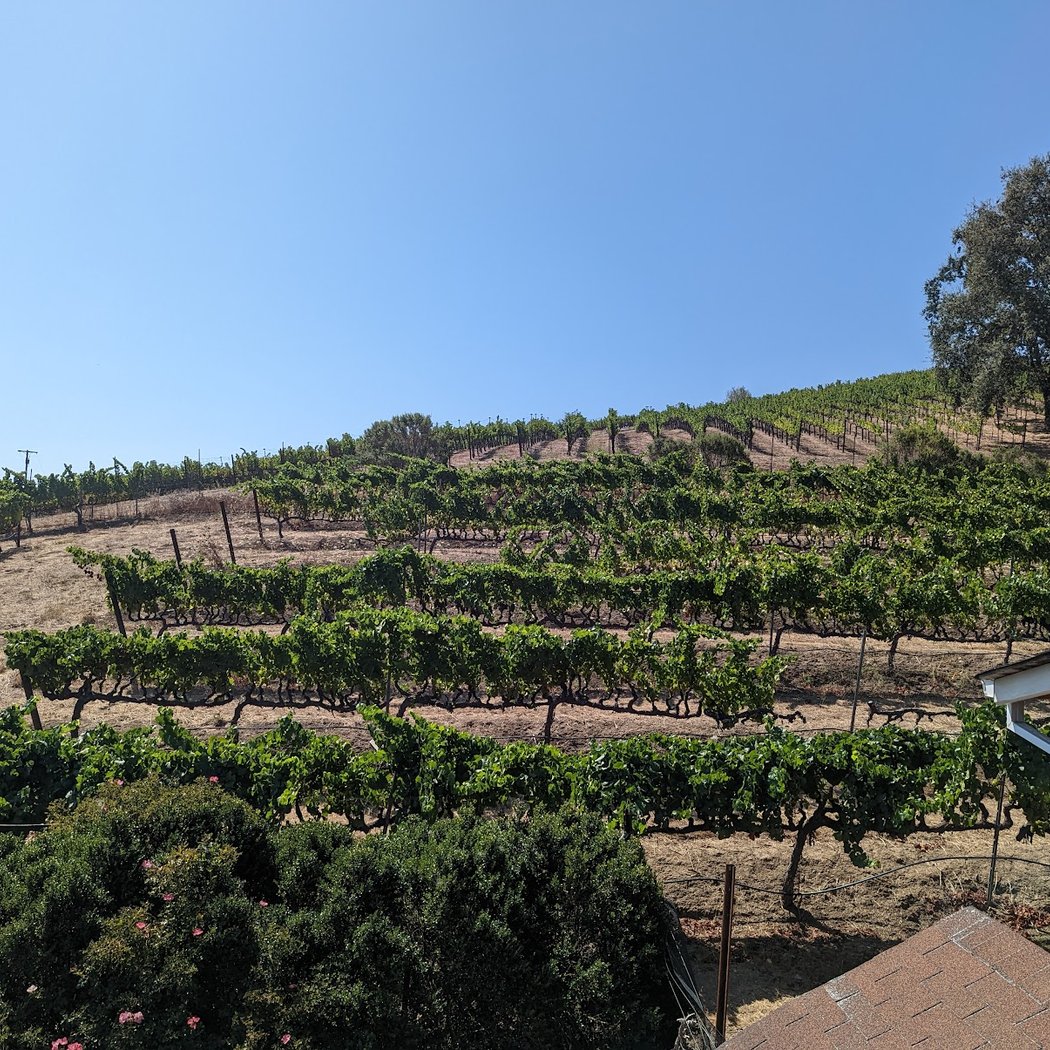 Play Like A Local: Wine Tasting & Bocce Ball At Frisinger Family Vineyard 2