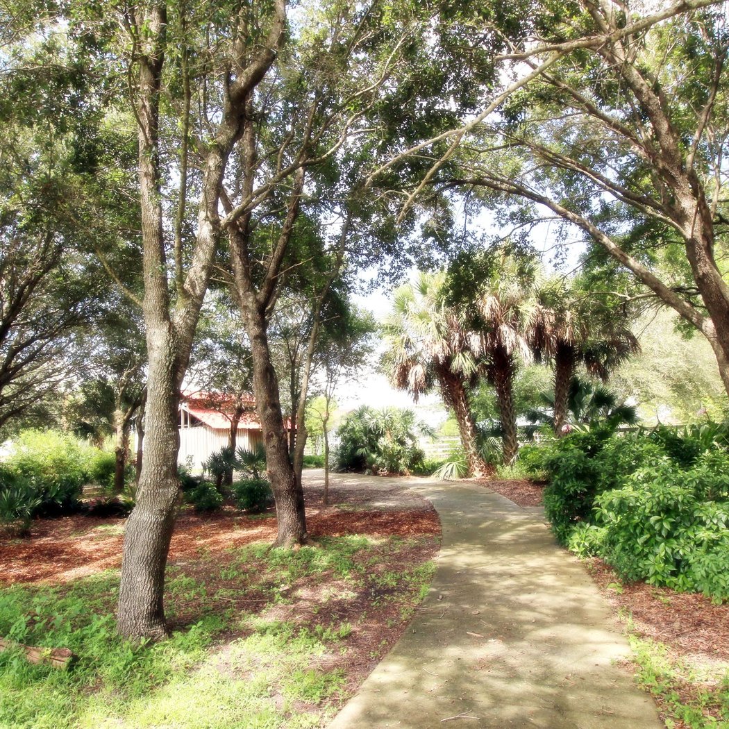 Rooted Walk 2