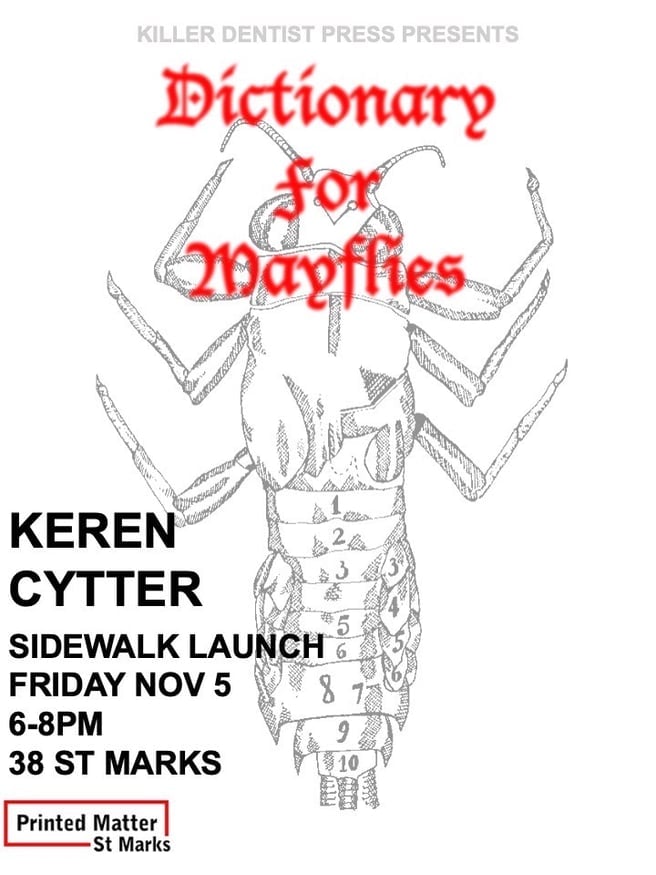 Dictionary for Mayflies Sidewalk Book Launch 1