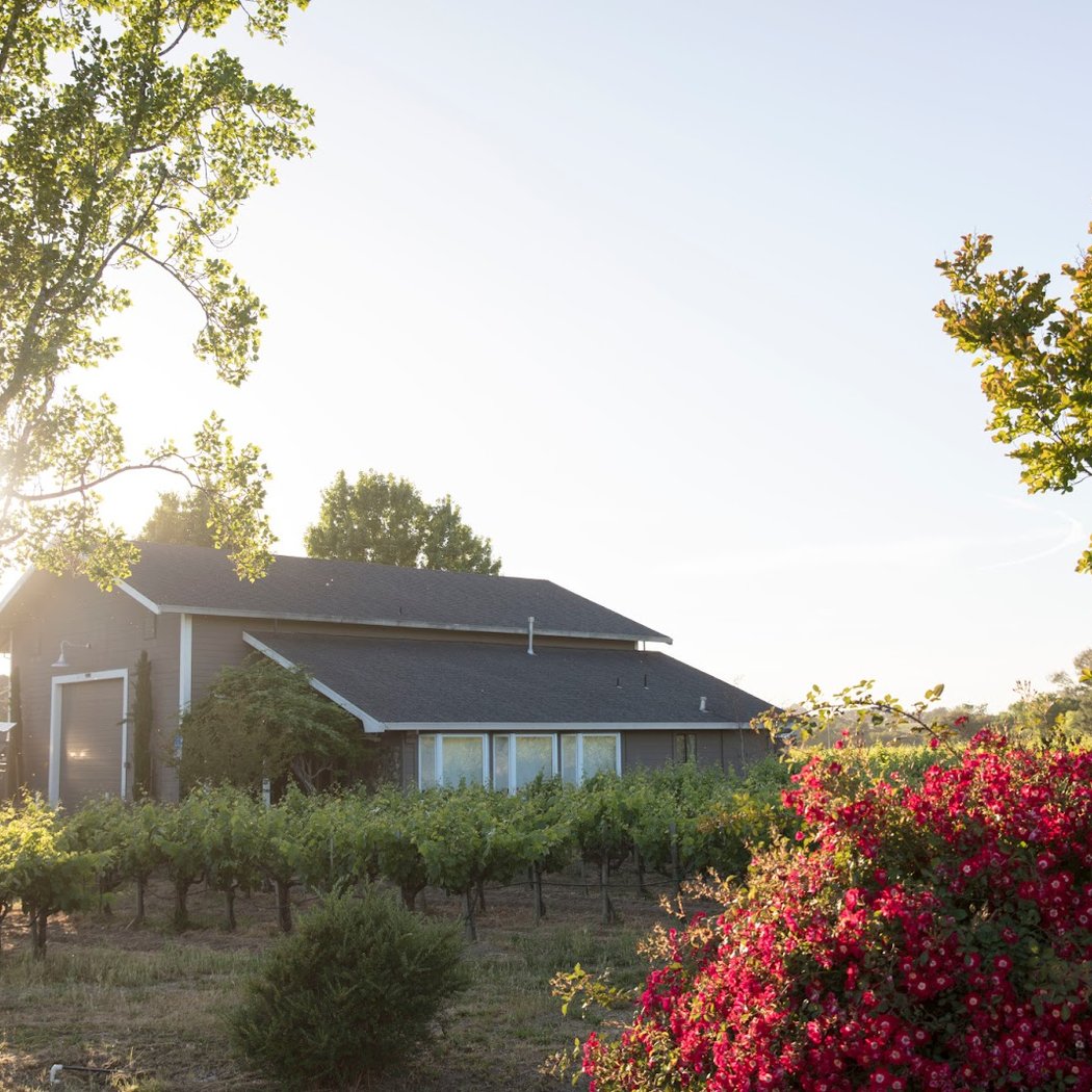 Father’s Day Cheers: A Complimentary Wine Tasting for Two 2