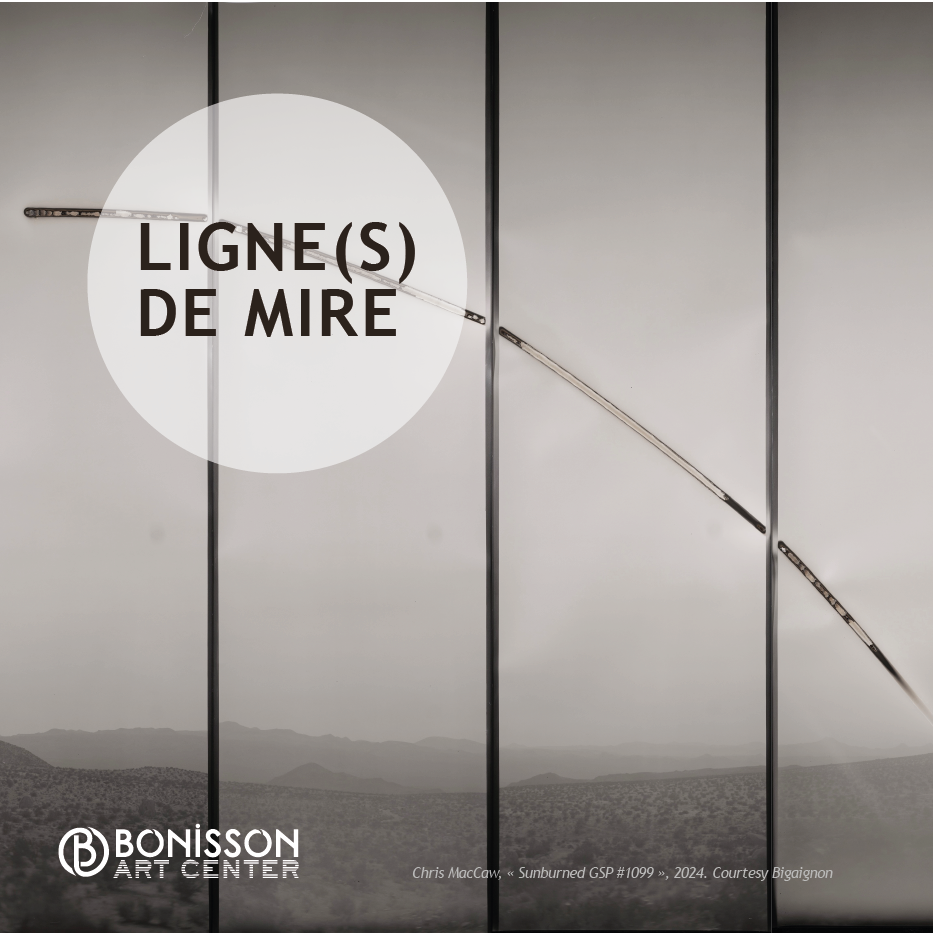 Ligne(s) de Mire 1
