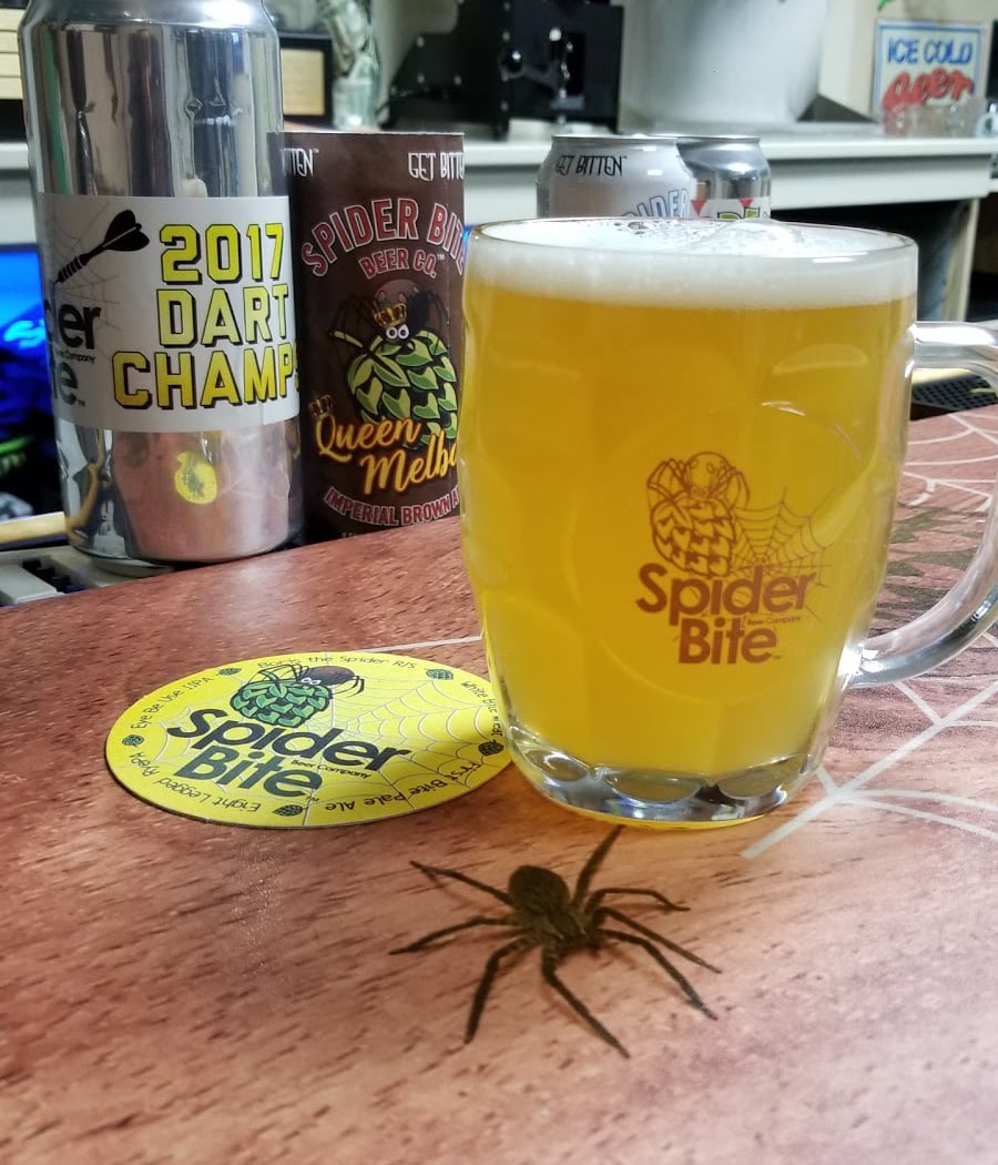 Spider Bite Beer Co 2
