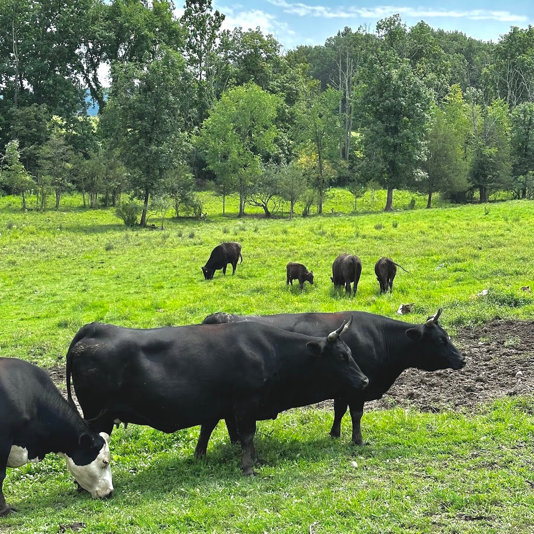 Catskill Wagyu 3