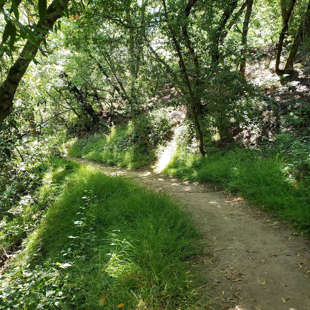 Proctor Trailhead 1