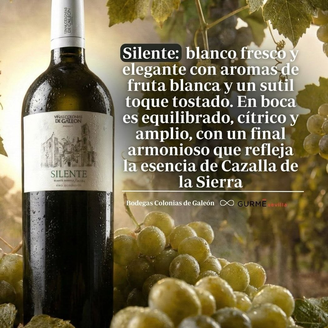 Viñas Colonias de Galeón 1