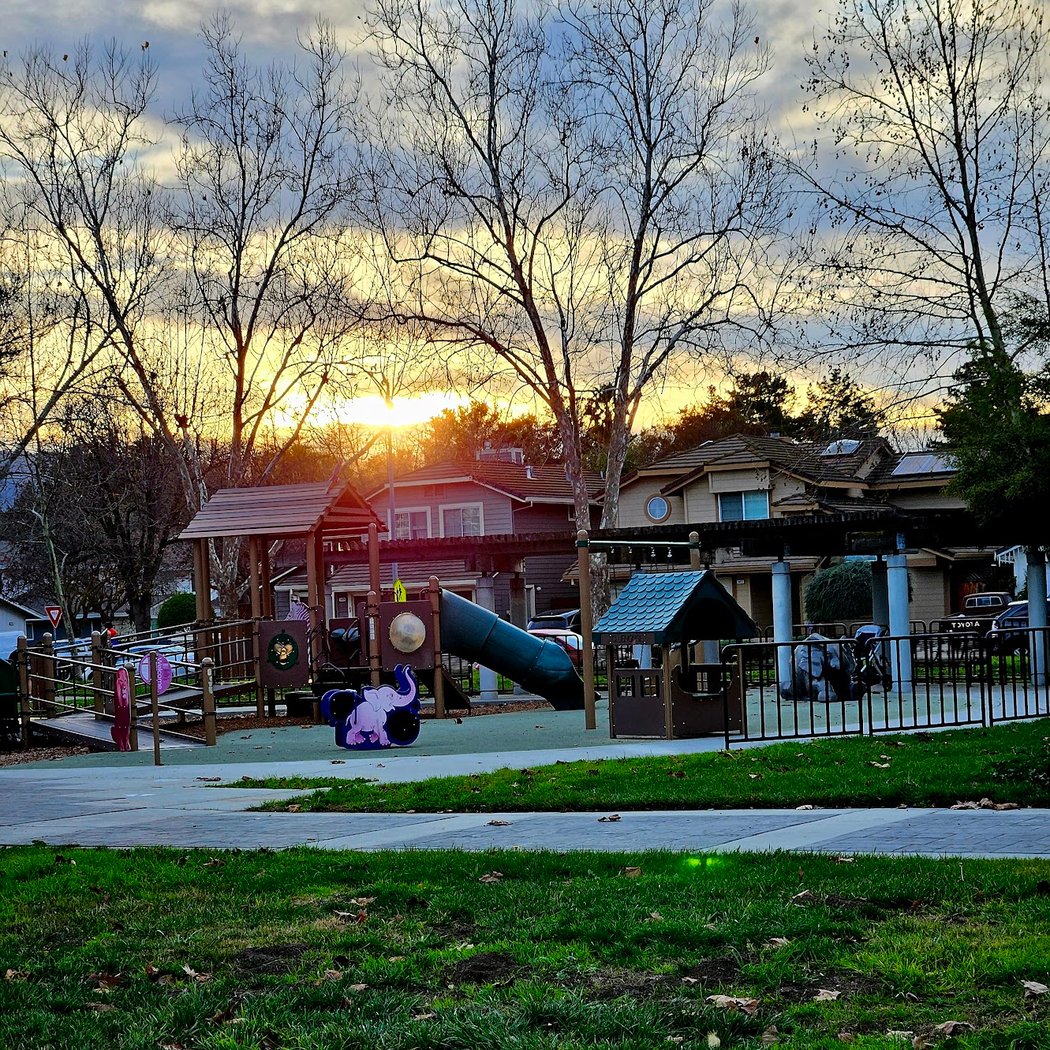Coy Park 3