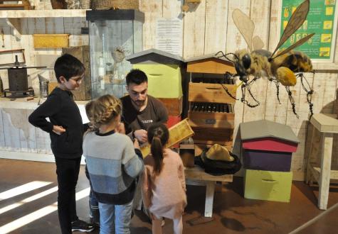 Atelier Abeilles 1
