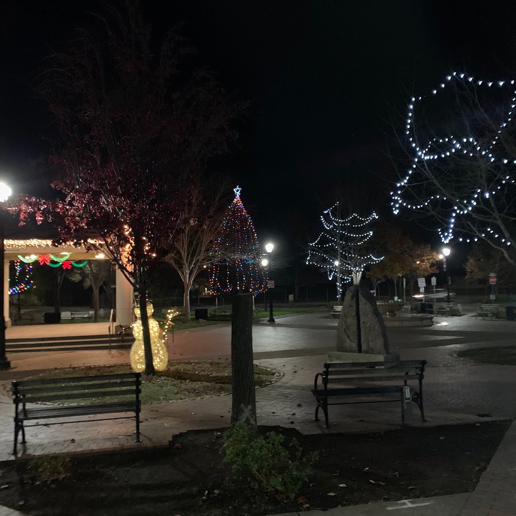 Sebastopol Tree Lighting Celebration 2