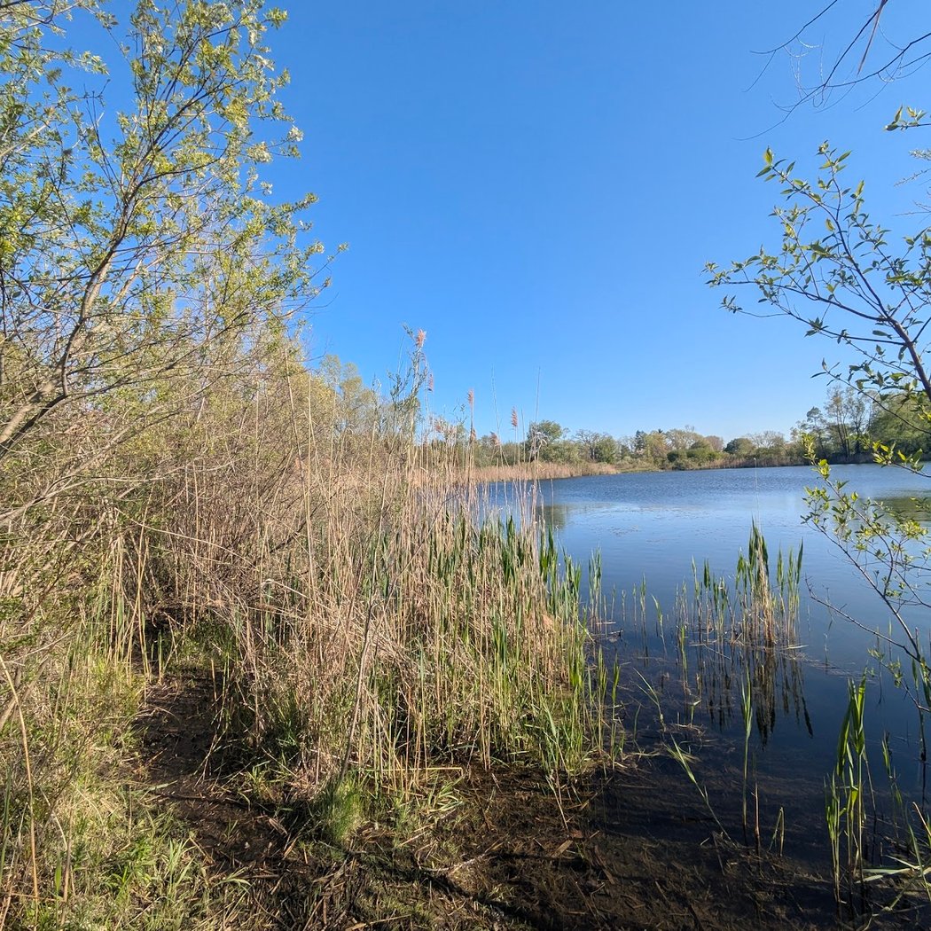 Liberty Pond Nature Area 2