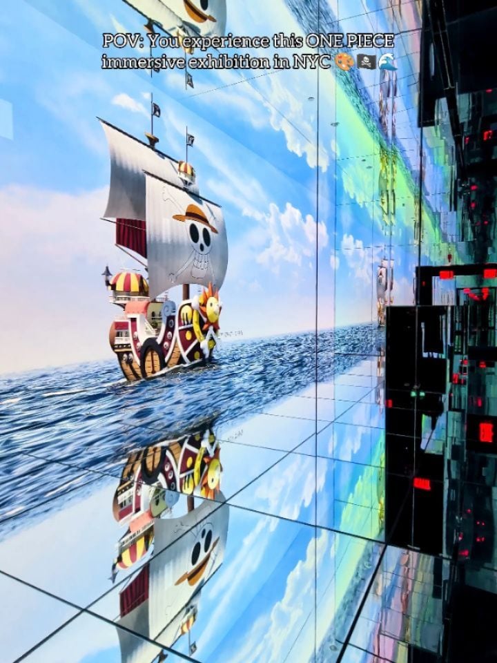 One Piece Exhibition 1