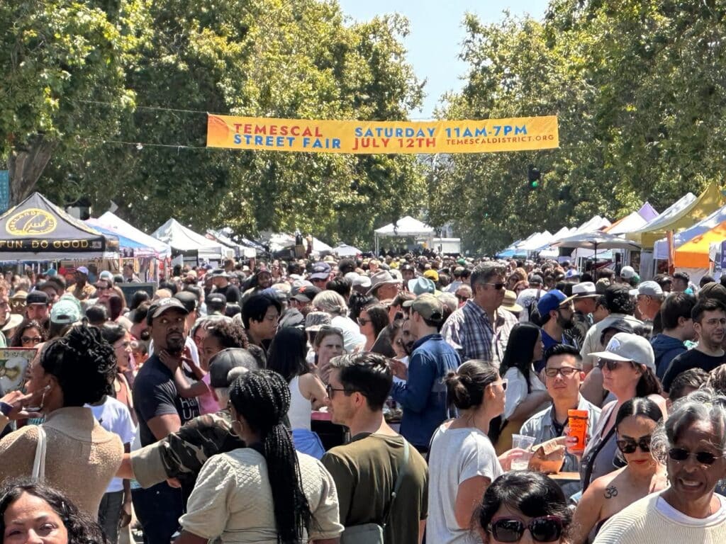 Temescal Street Fair 1