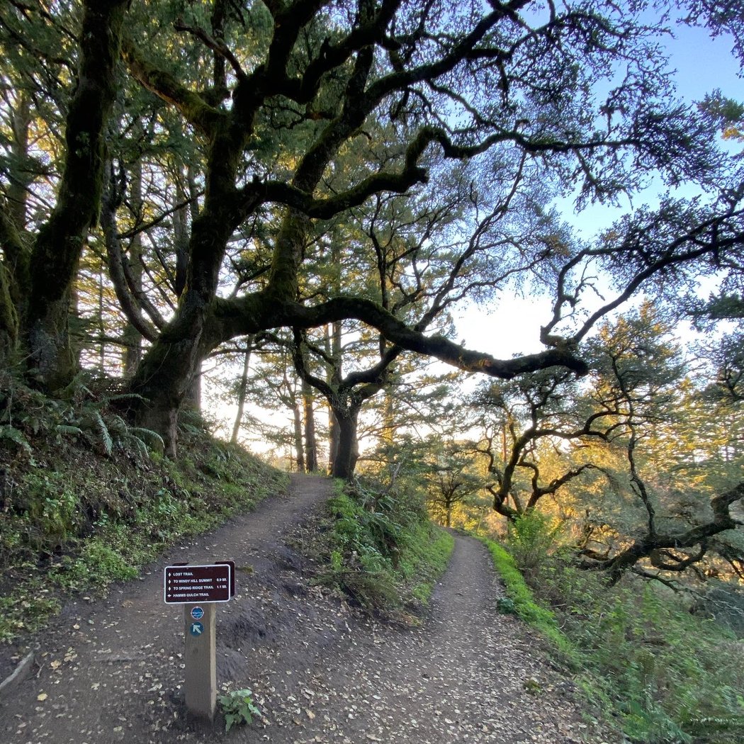 Hike at Windy Hill 2