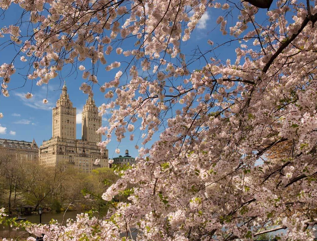 Central Park 1