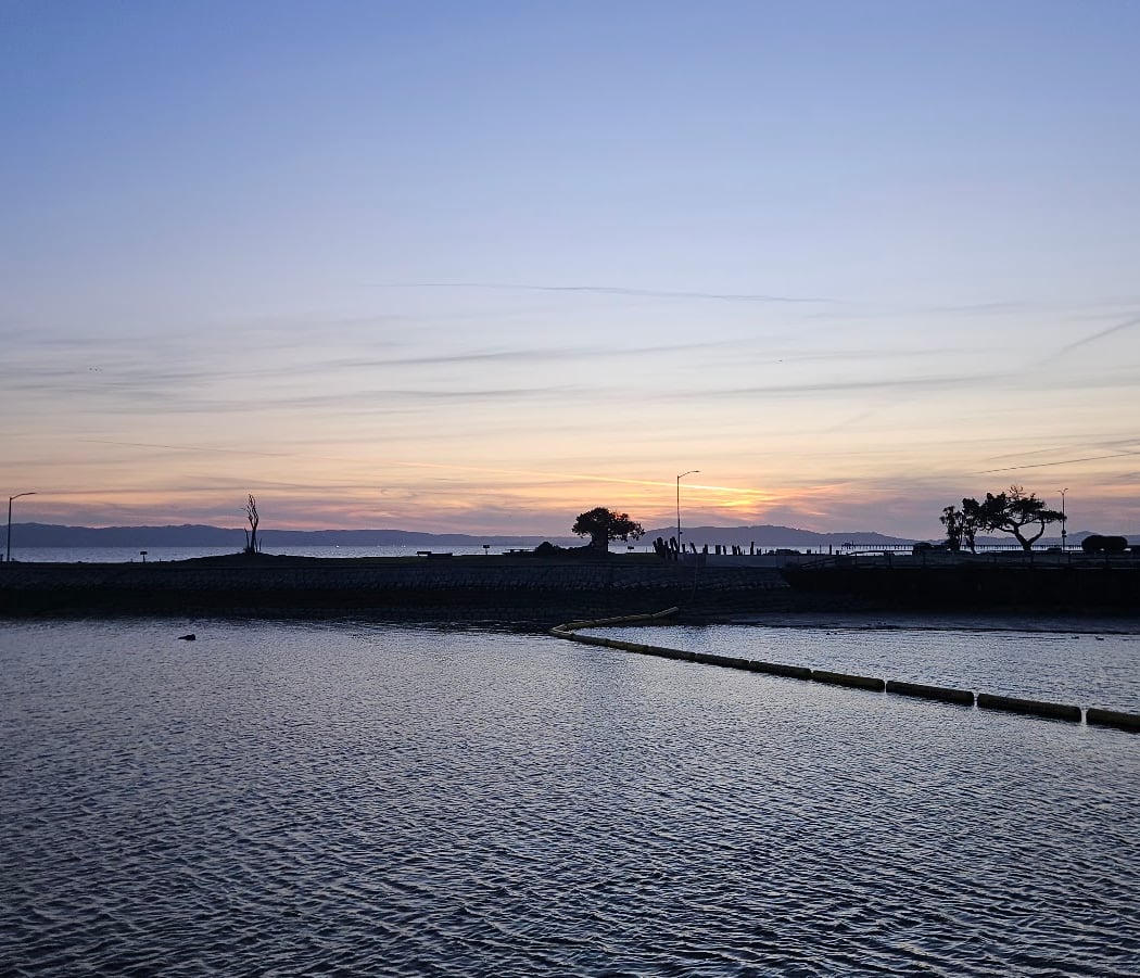 Bay Breeze 2