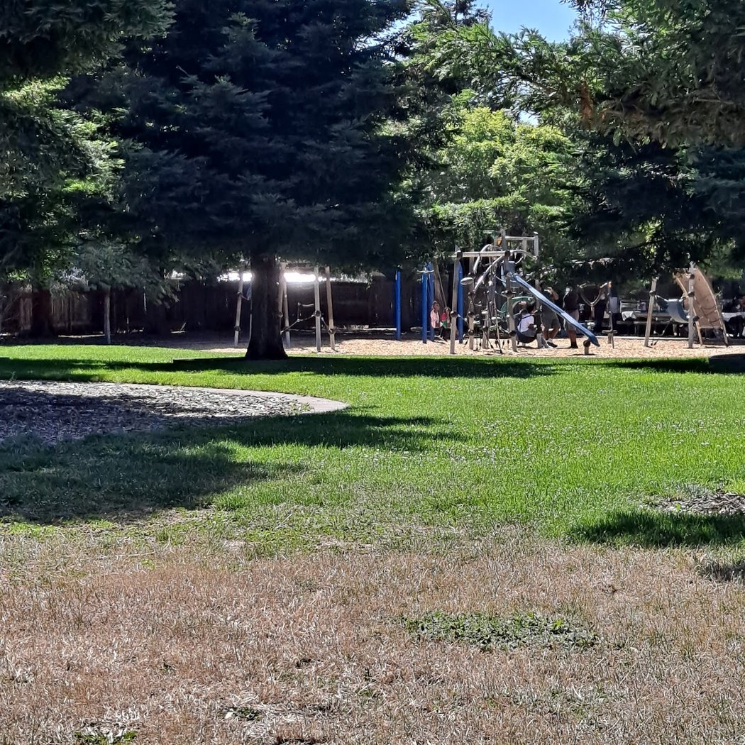 Halcyon Park 2