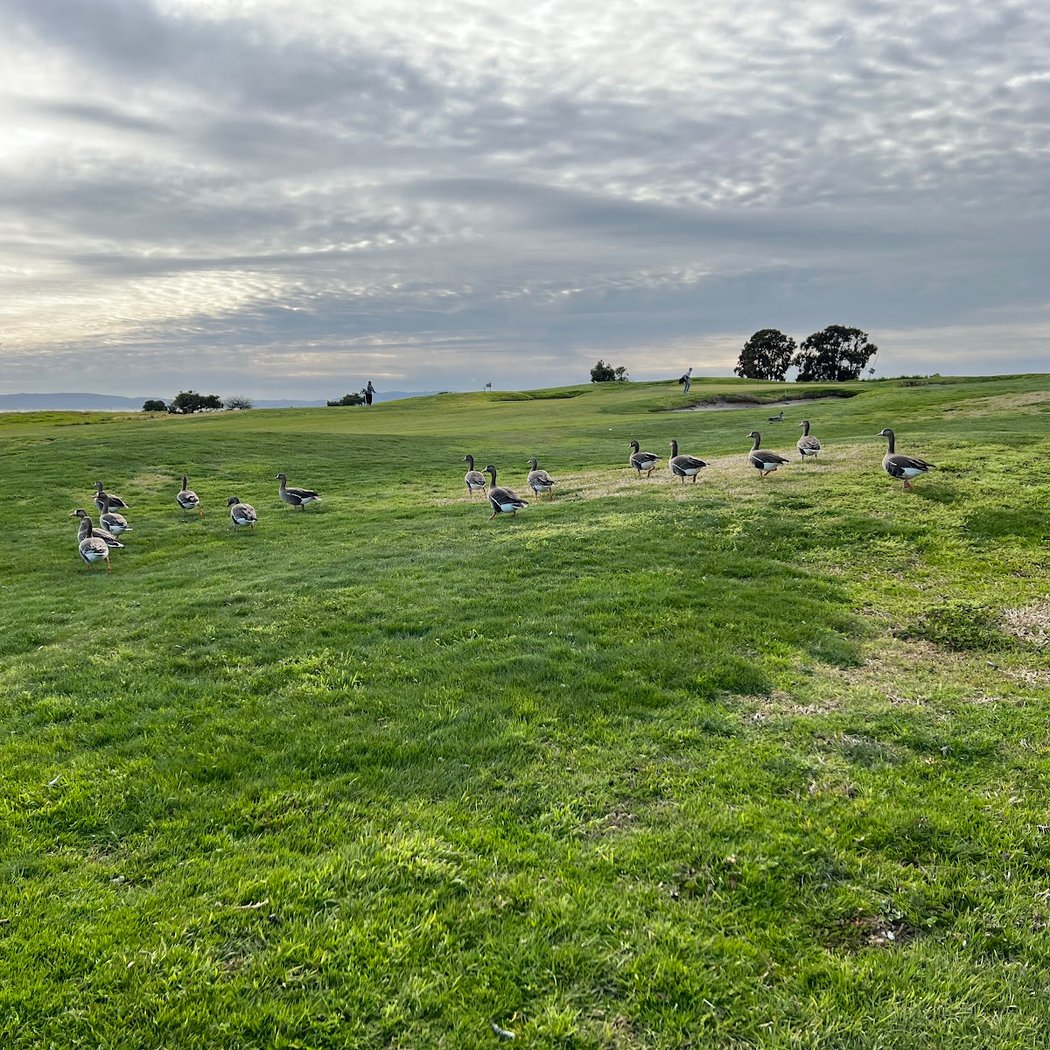 Tony Lema Golf Course 2