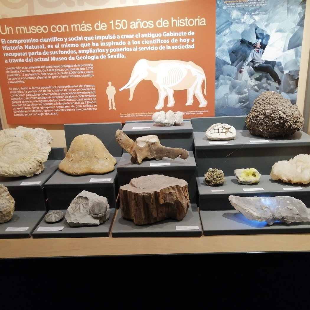 La mar de plásticos 5