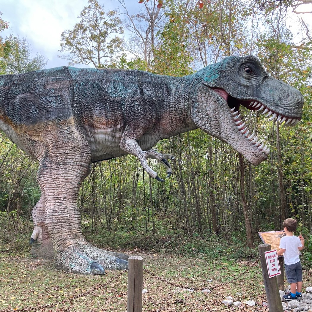 Dinosaur Exhibit 3