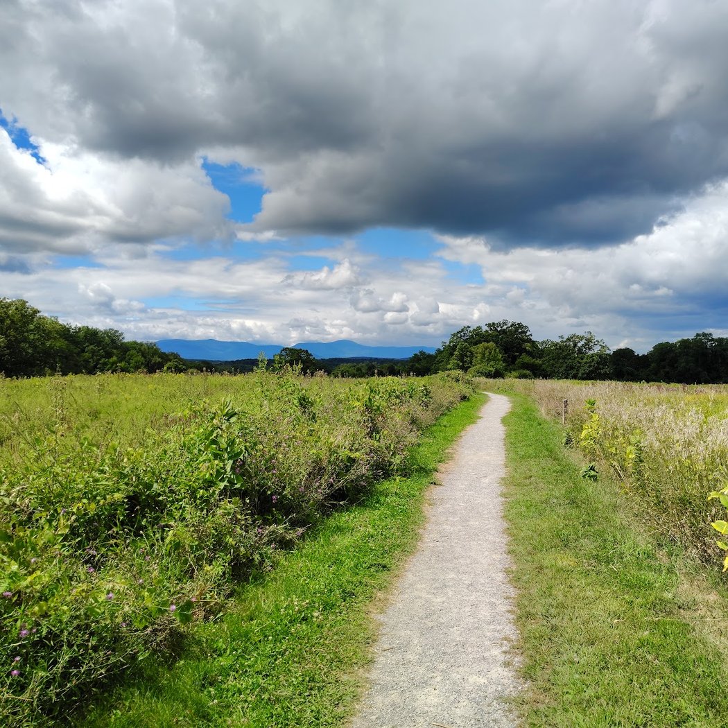 Greenport Conservation Area 3