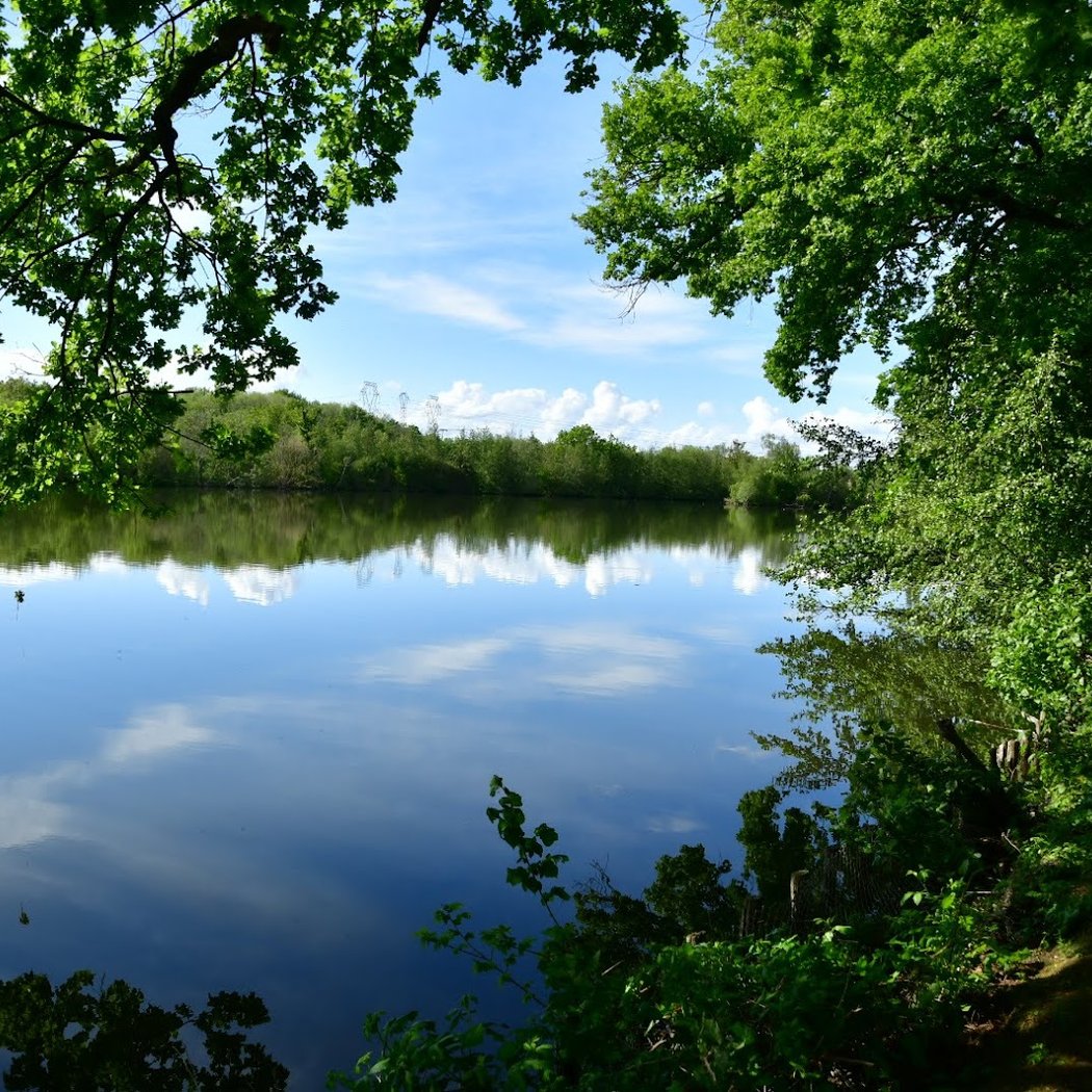 Marais d'Itteville 1