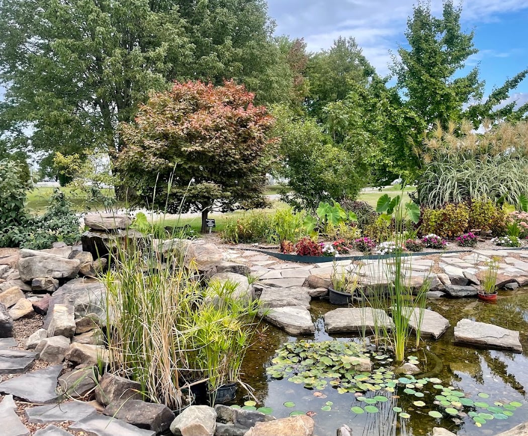 SWIMGA Display Garden 2