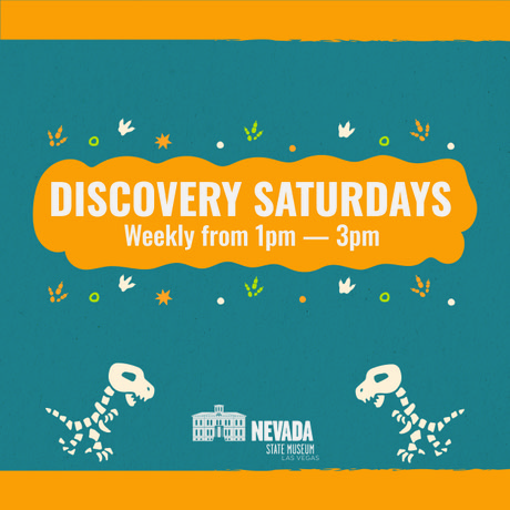 Discovery Saturdays 1