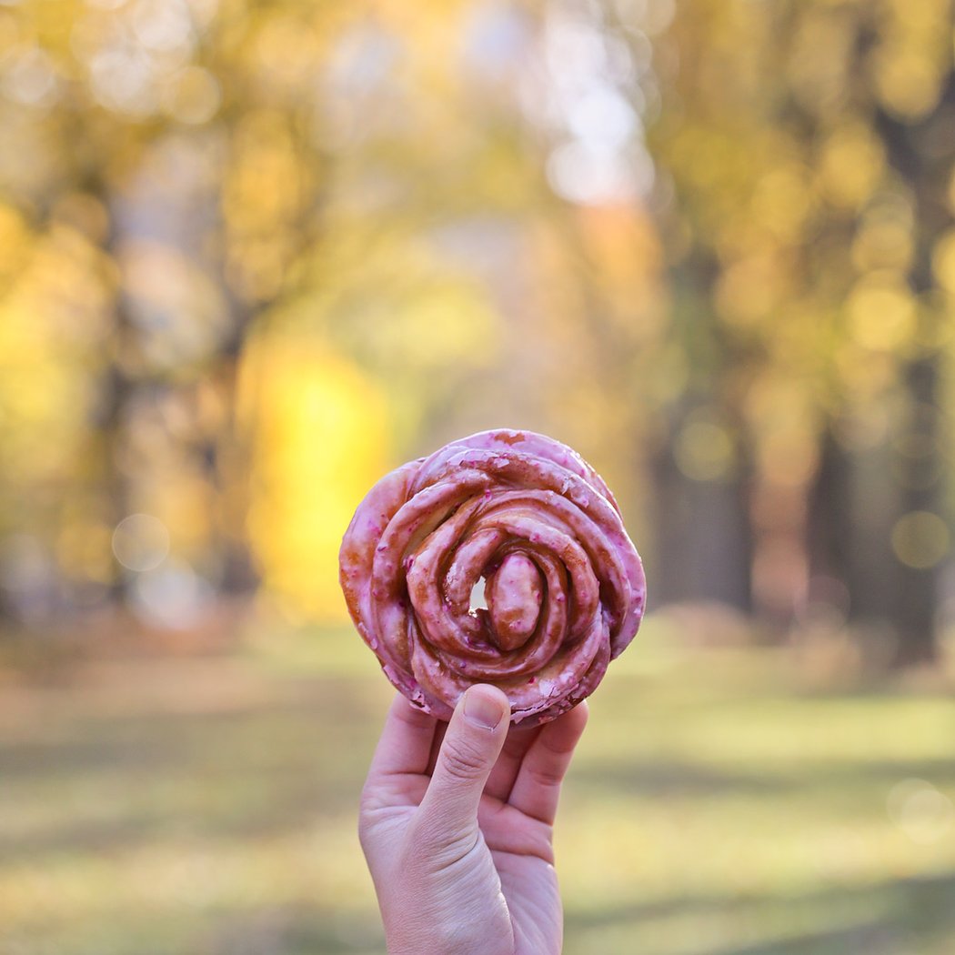Doughnut Plant 3