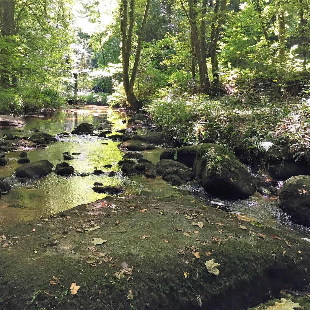 vallée des Traouïero 2