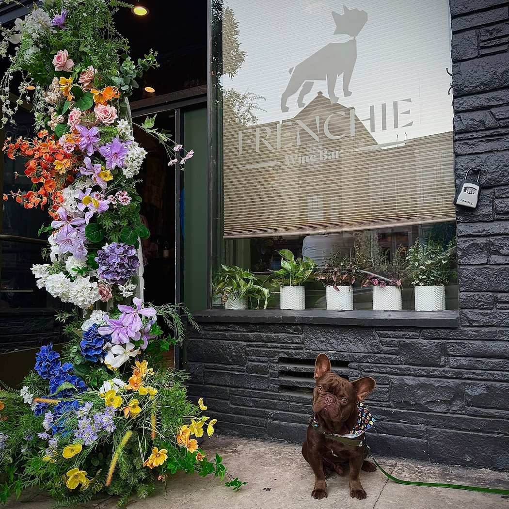 Frenchie Wine Bar 3