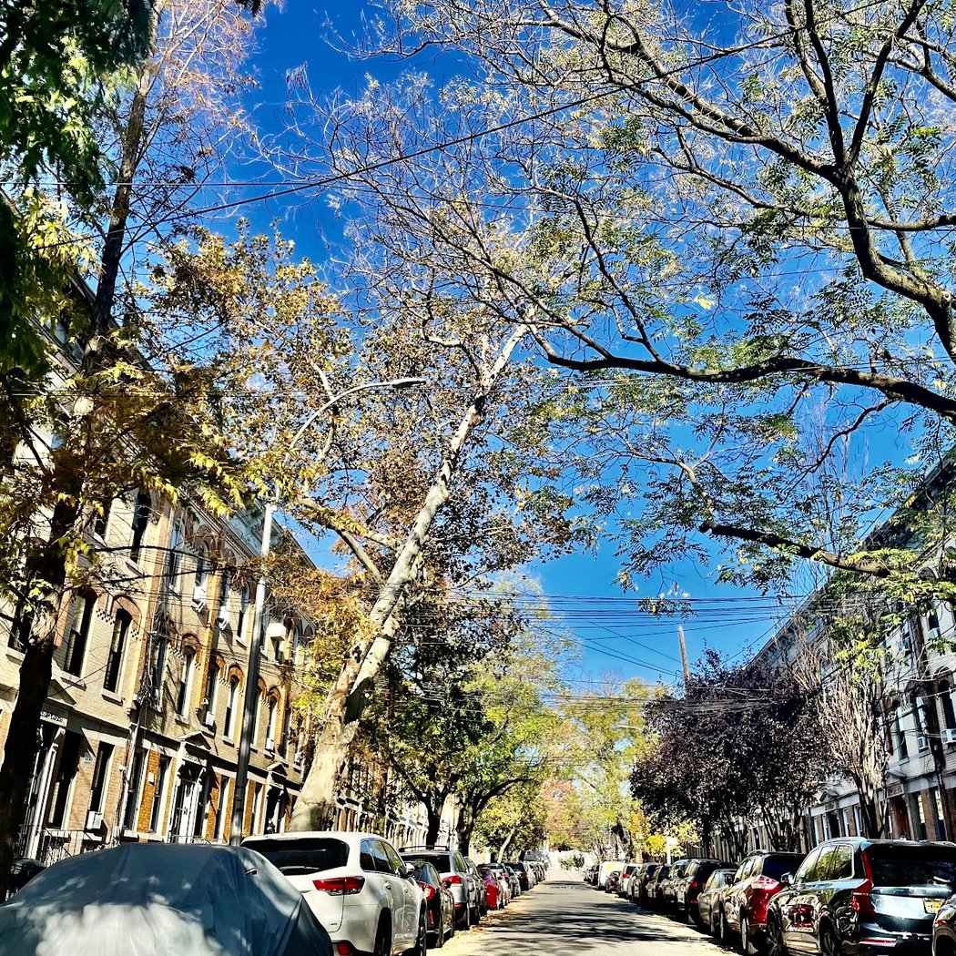 Ridgewood North Historic District 1