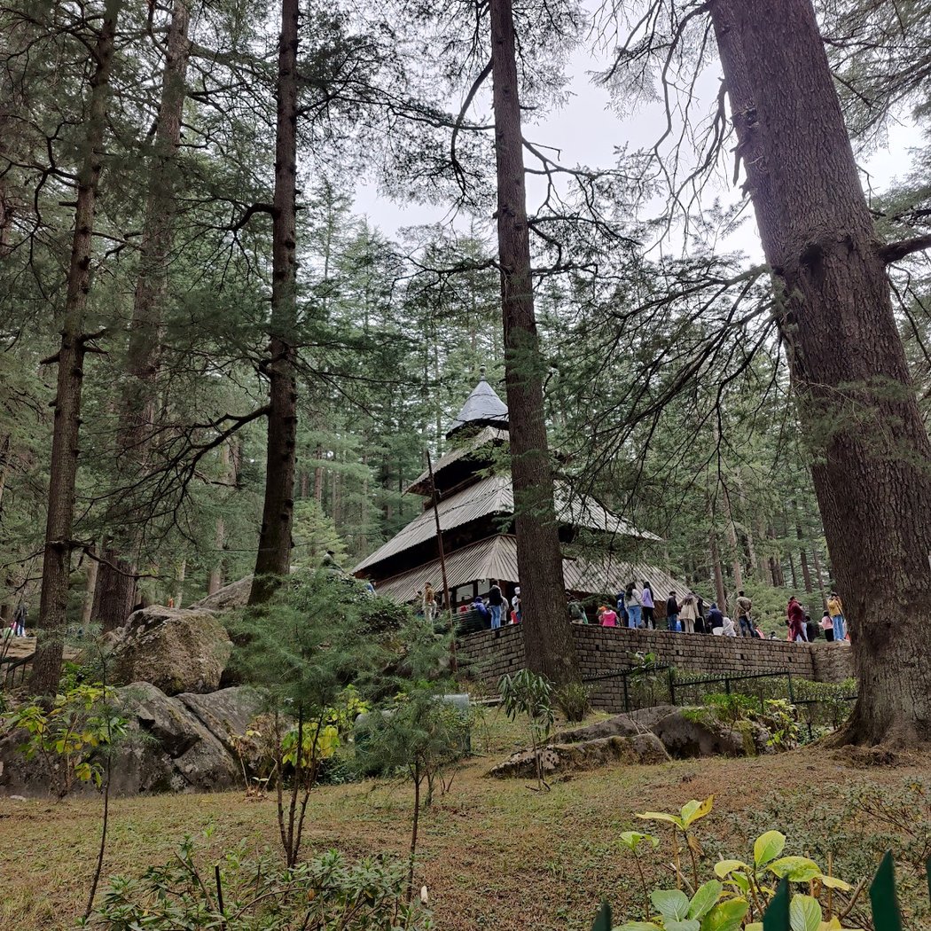 Hadimba Devi Temple 5