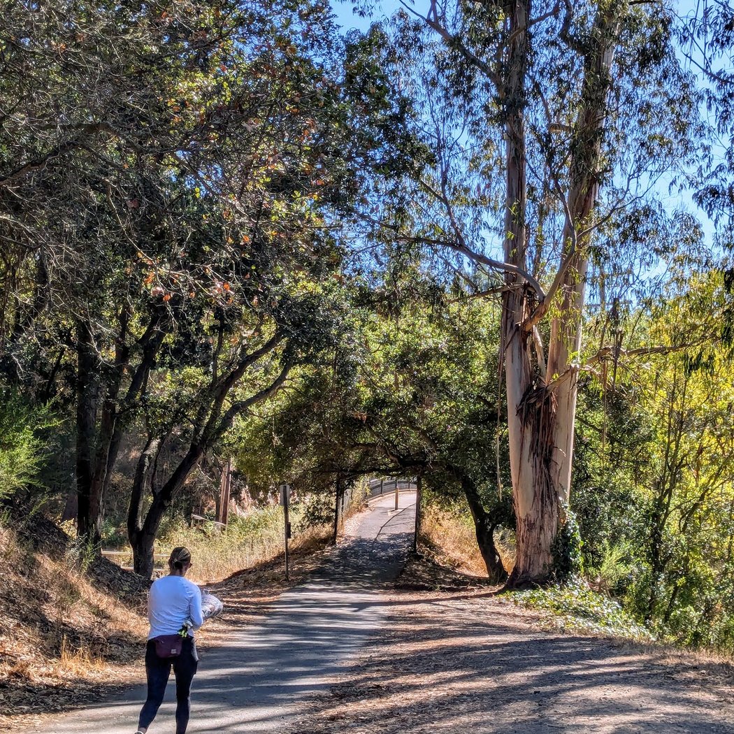 Montclair Railroad Trail, Oakland 2